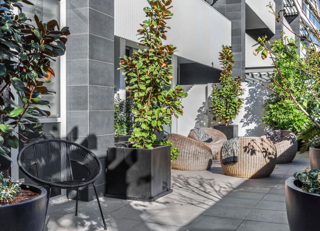 The Ultimate Newstead Riverfront Address Gallery